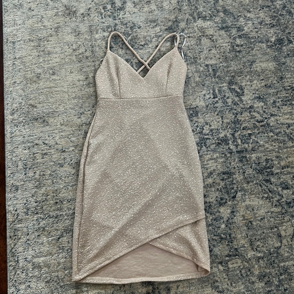 Windsor mini dress in the color blush, size small